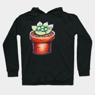 Cute Potted Succulent Hoodie